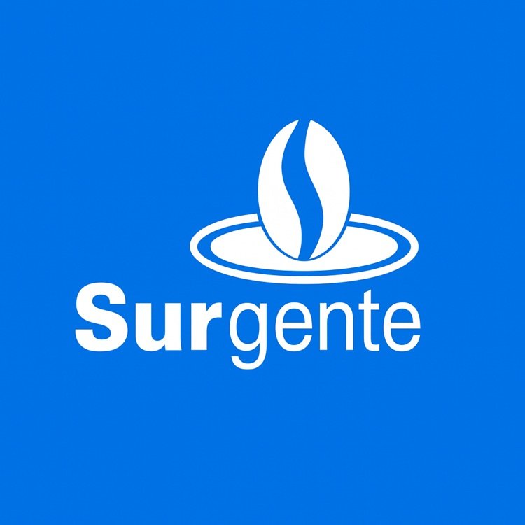 Fórmula da Transição de Carreira | Nortear Liderança